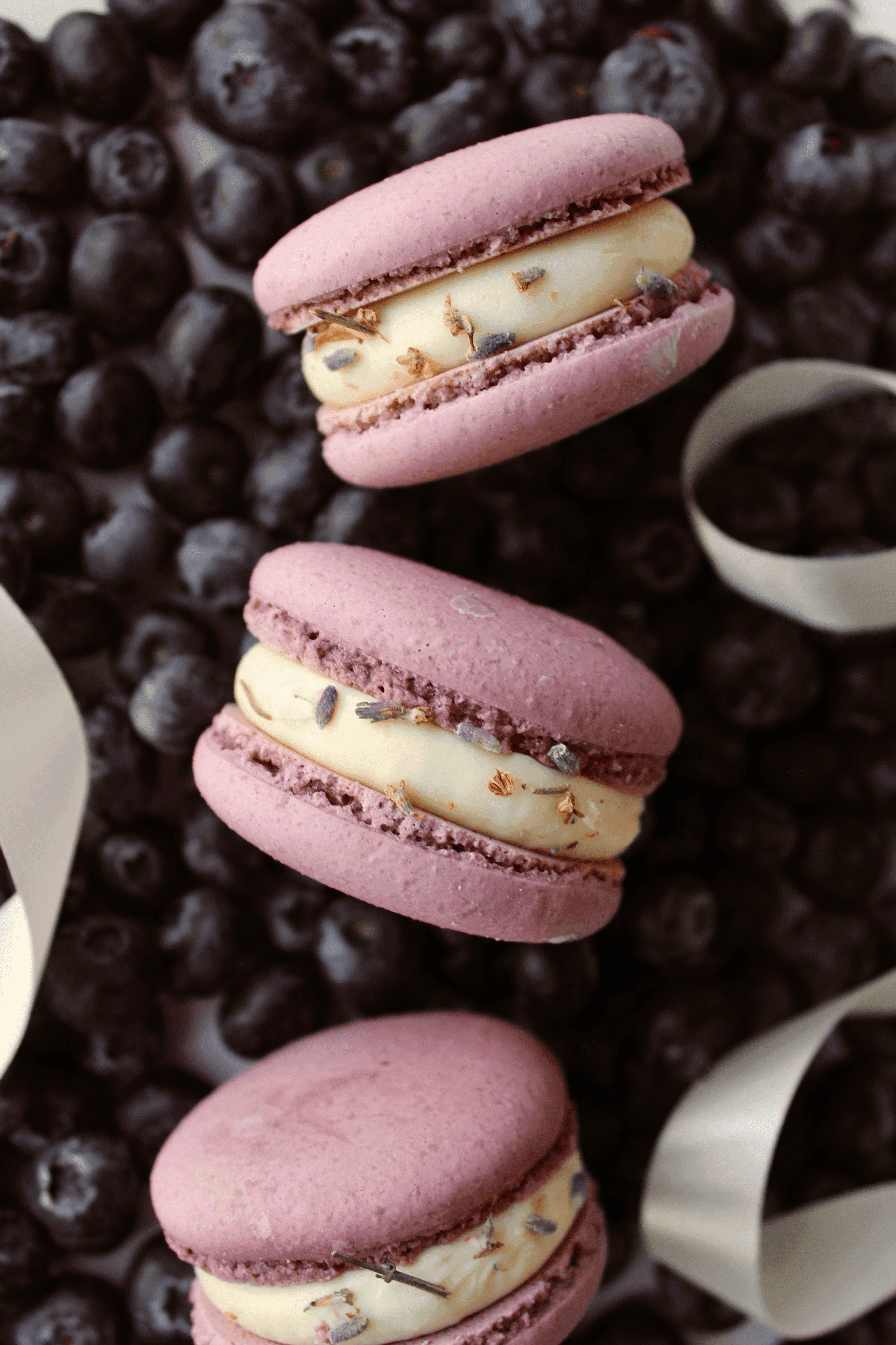 Lavender & Blueberry macaron