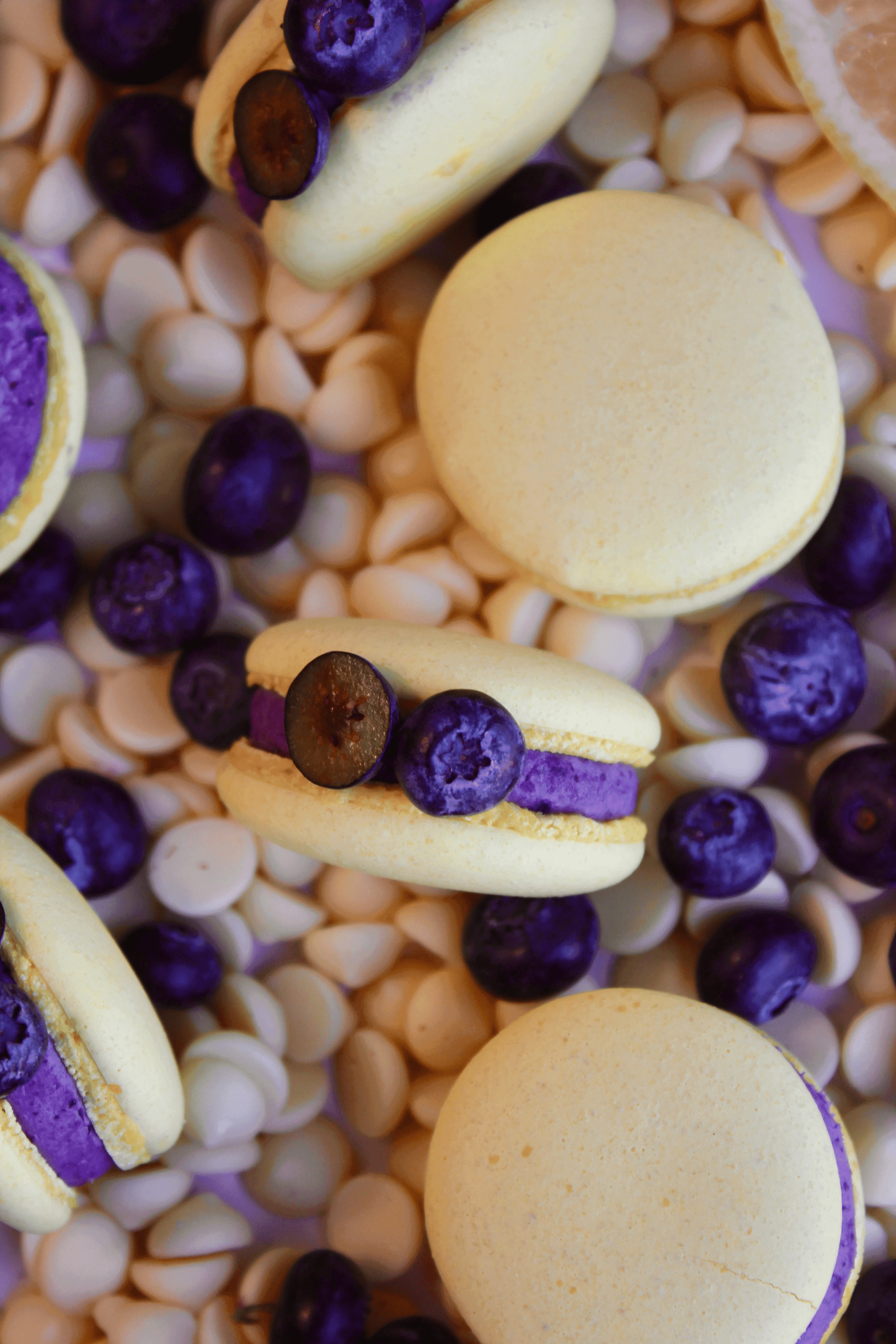 Lemon & Blueberry macaron