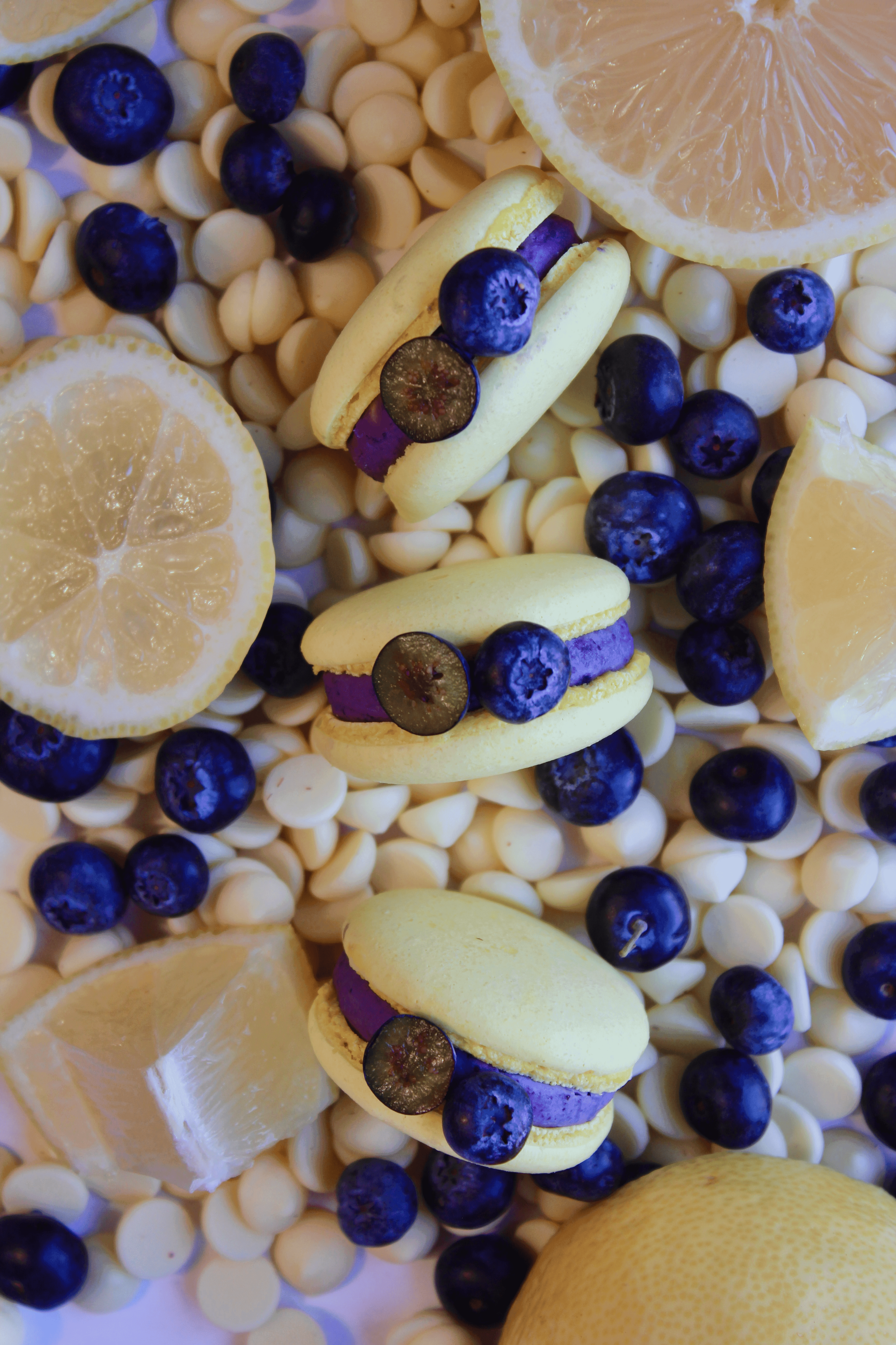 Lemon & Blueberry macaron