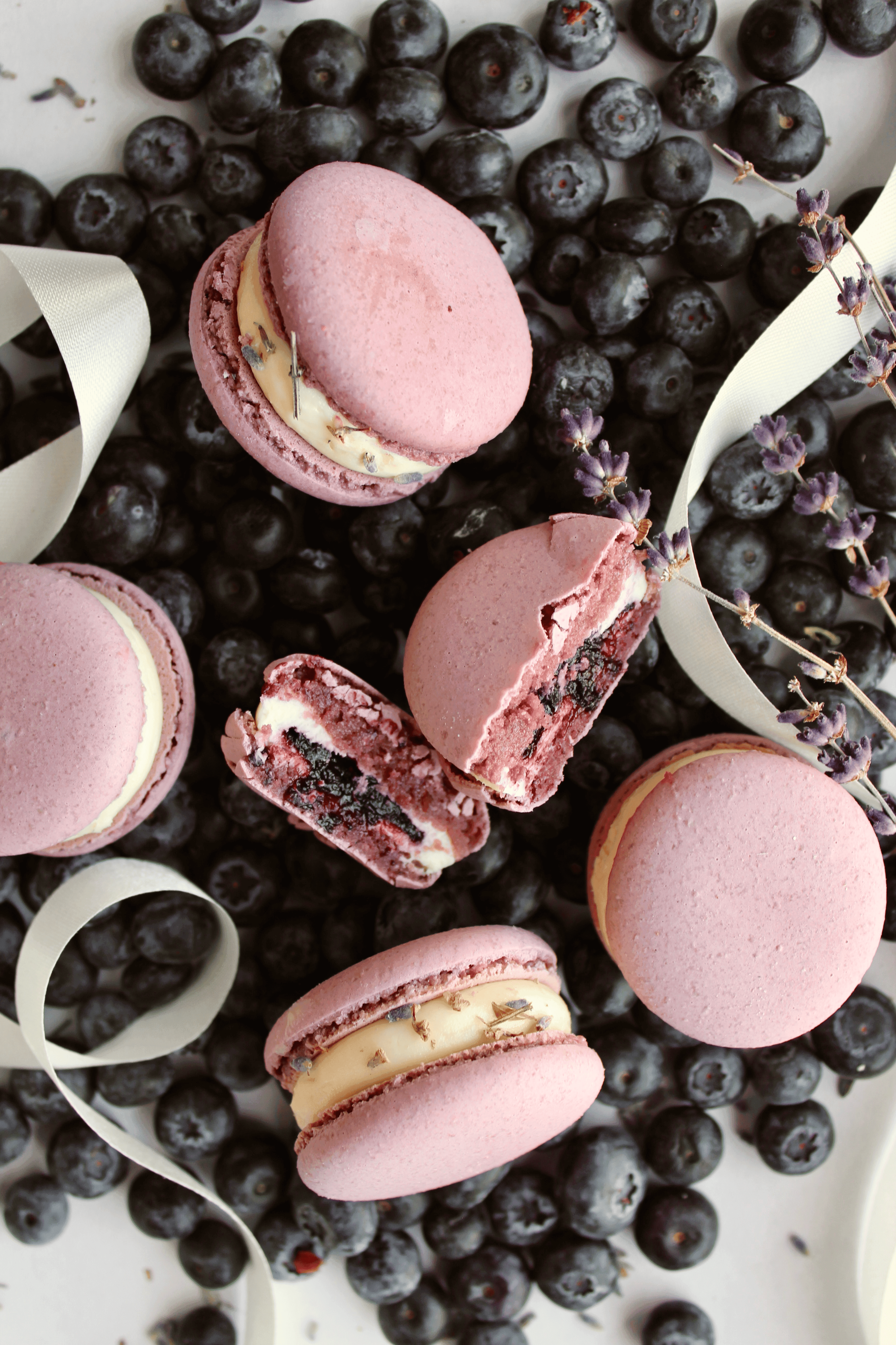 Lavender & Blueberry macaron
