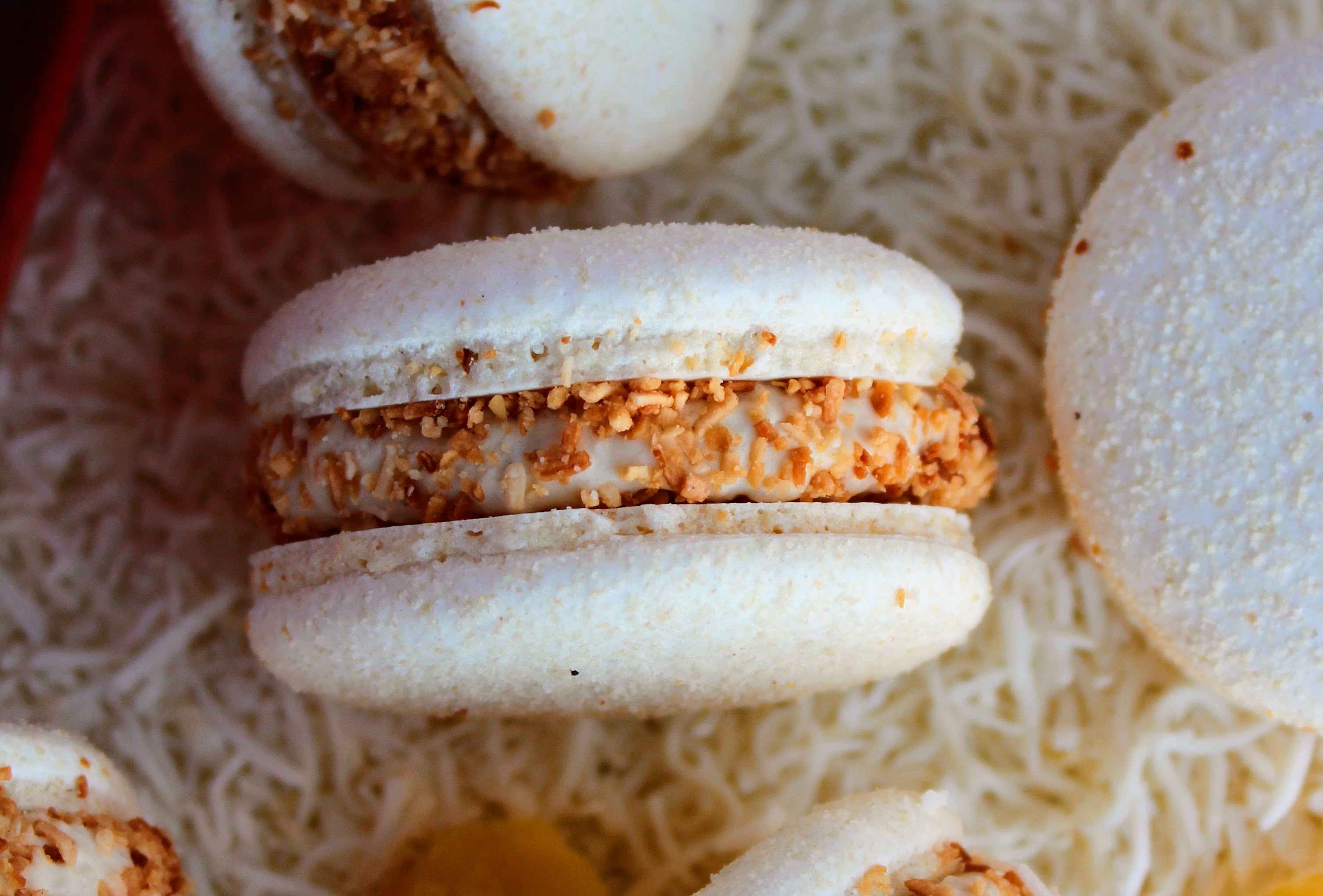 White macaron with coconut cream and pineapple filling, surrounded by shredded coconut and pineapple pieces. Dairy-free and gluten-free.