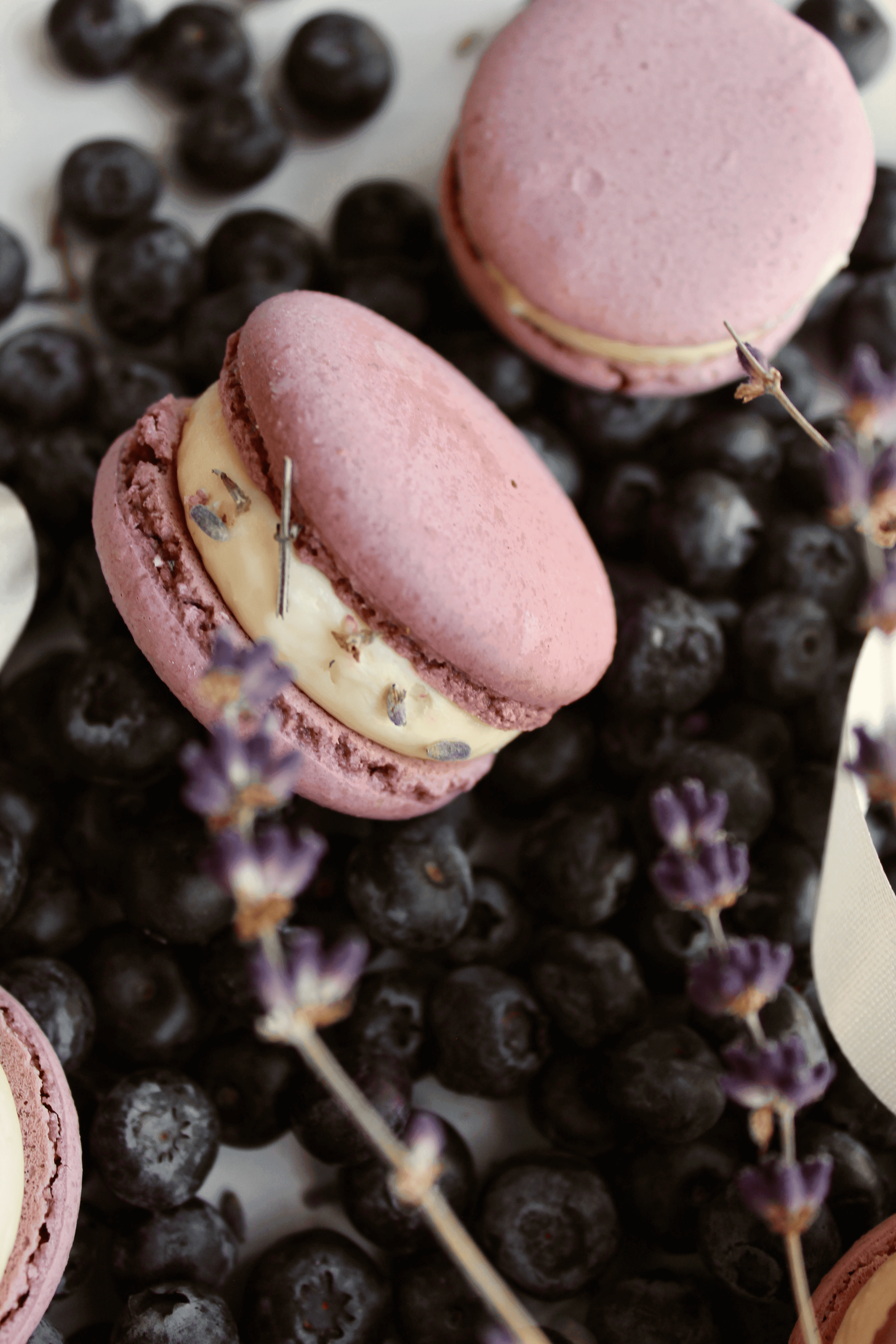Lavender & Blueberry  macaron - Premium handcrafted Calgary dessert view 2