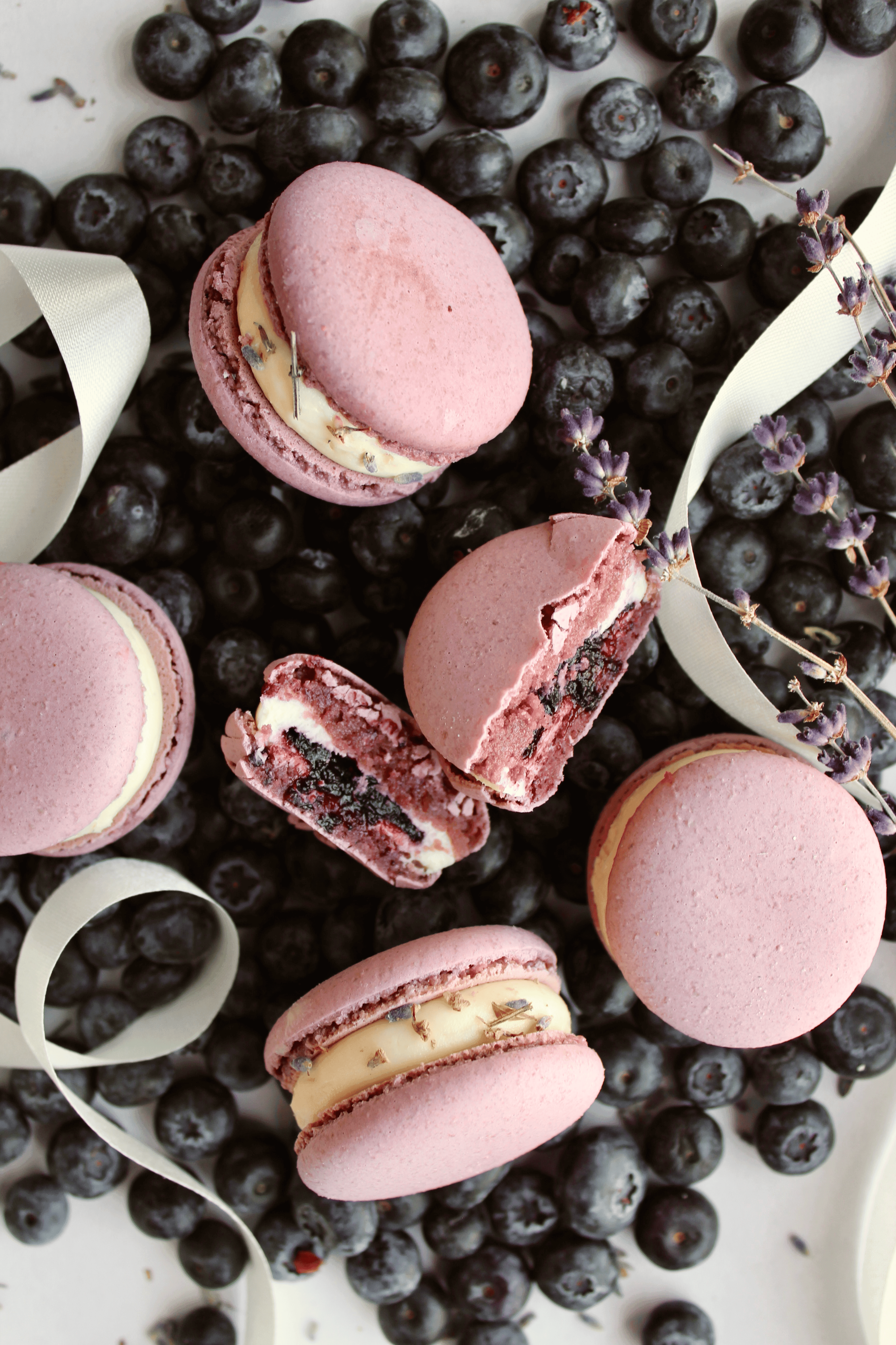 Lavender & Blueberry  macaron - Premium handcrafted Calgary dessert view 3