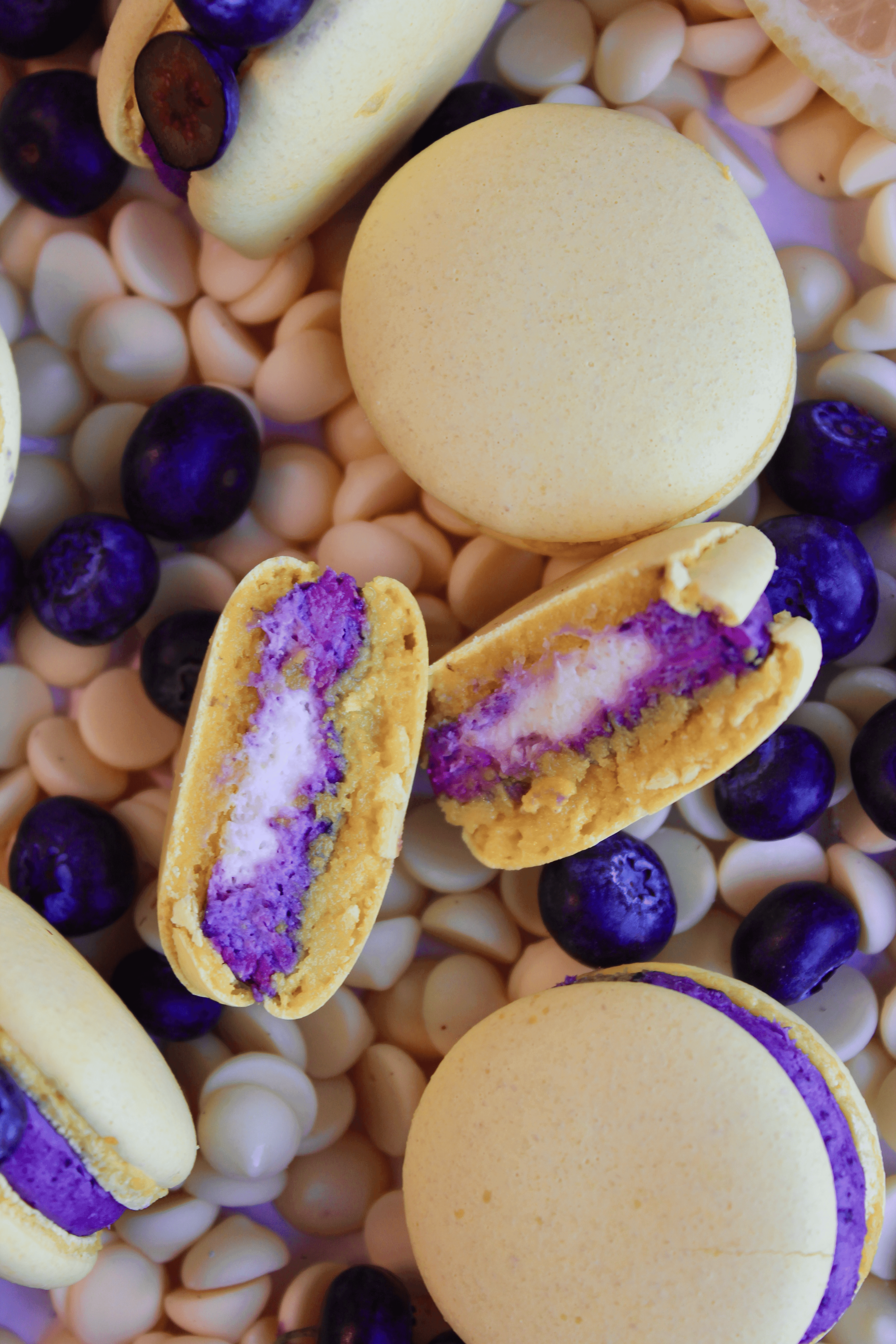 Lemon & Blueberry  macaron - Premium handcrafted Calgary dessert view 3